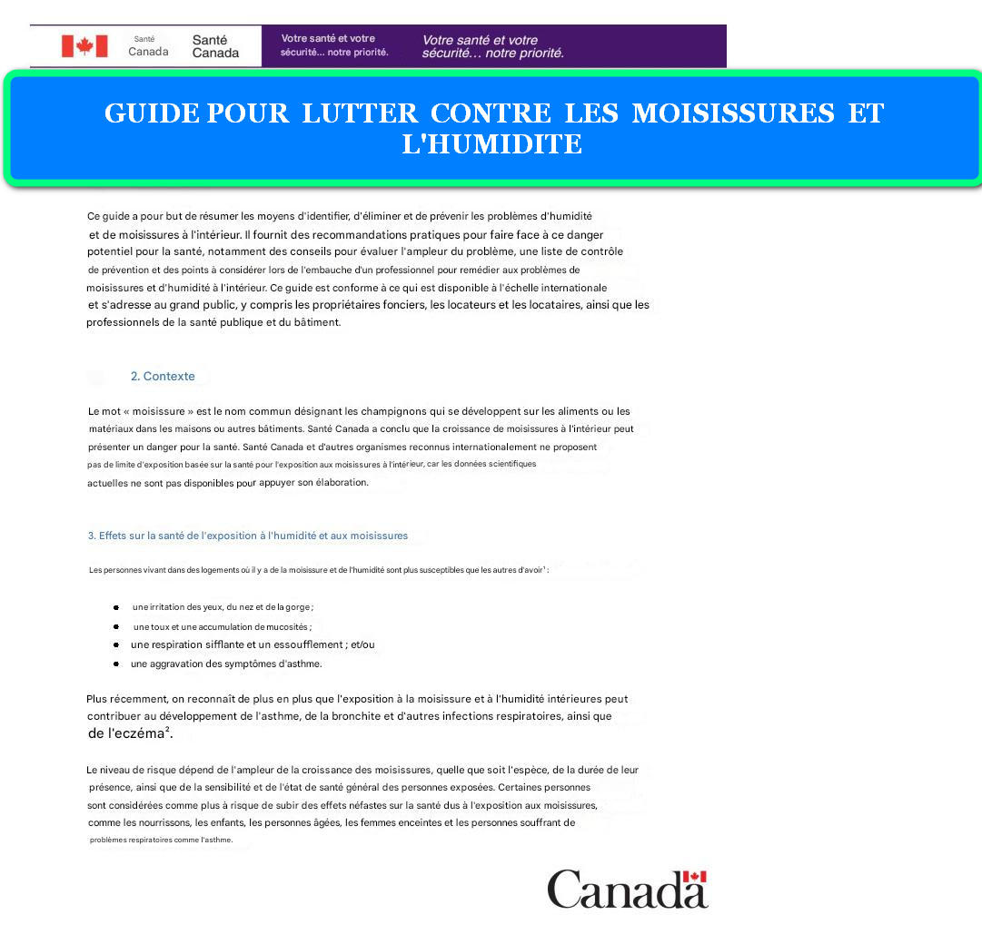 GUIDE POUR LUTTER CONTRE LES MOISISSURES ET L'HUMIDITE