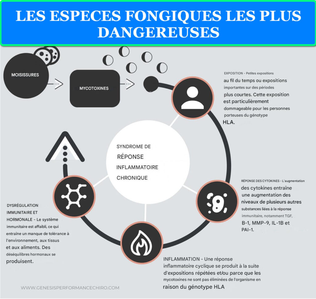 LES ESPECES FONGIQUES LES PLUS DANGEREUSES