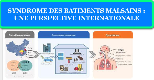 SYNDROME DES BATIMENTS MALSAINS UNE PERSPECTIVE INTERNATIONALE